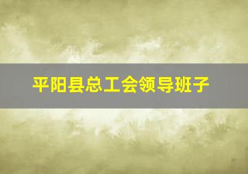 平阳县总工会领导班子