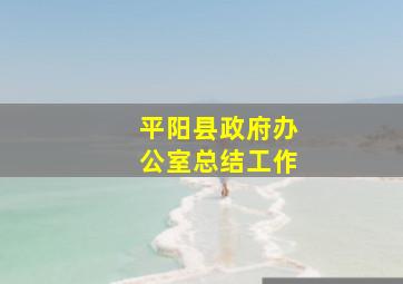 平阳县政府办公室总结工作