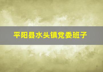 平阳县水头镇党委班子