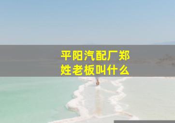 平阳汽配厂郑姓老板叫什么