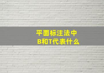 平面标注法中B和T代表什么