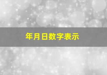 年月日数字表示