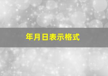 年月日表示格式