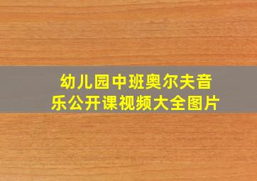 幼儿园中班奥尔夫音乐公开课视频大全图片