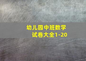 幼儿园中班数学试卷大全1-20