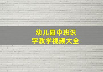 幼儿园中班识字教学视频大全