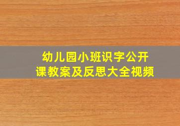 幼儿园小班识字公开课教案及反思大全视频