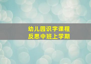 幼儿园识字课程反思中班上学期