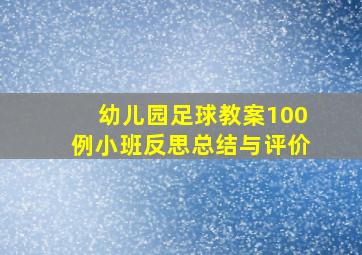 幼儿园足球教案100例小班反思总结与评价