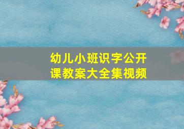 幼儿小班识字公开课教案大全集视频