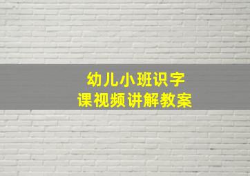 幼儿小班识字课视频讲解教案