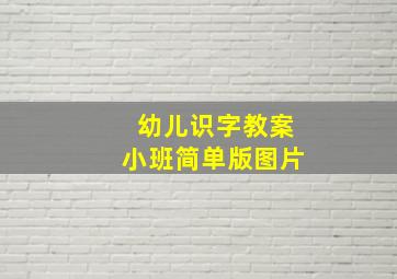 幼儿识字教案小班简单版图片