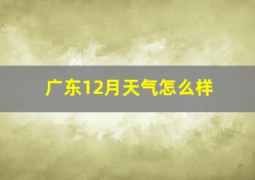 广东12月天气怎么样