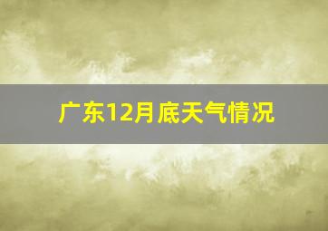 广东12月底天气情况