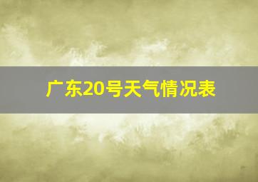 广东20号天气情况表