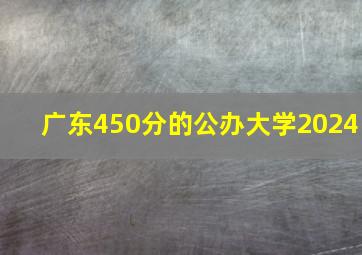 广东450分的公办大学2024