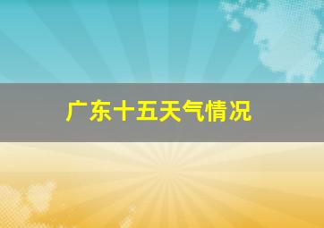 广东十五天气情况