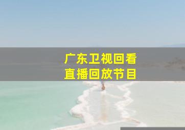 广东卫视回看直播回放节目