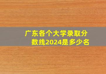 广东各个大学录取分数线2024是多少名