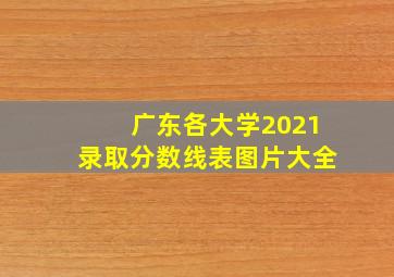 广东各大学2021录取分数线表图片大全