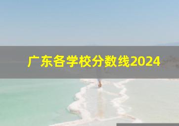 广东各学校分数线2024