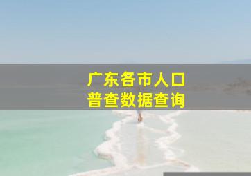 广东各市人口普查数据查询