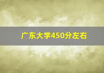 广东大学450分左右