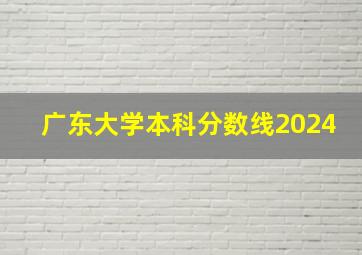 广东大学本科分数线2024