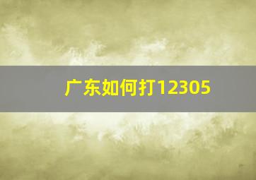 广东如何打12305