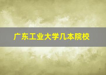 广东工业大学几本院校