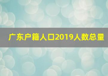 广东户籍人口2019人数总量