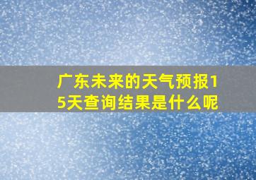 广东未来的天气预报15天查询结果是什么呢