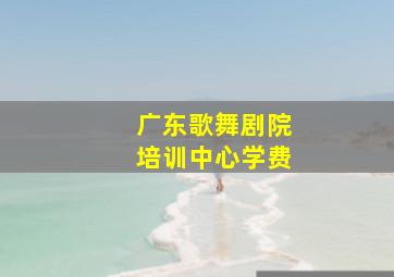 广东歌舞剧院培训中心学费