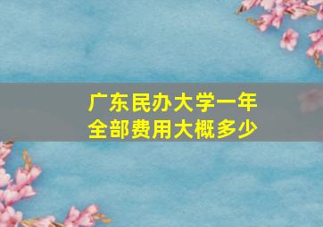 广东民办大学一年全部费用大概多少