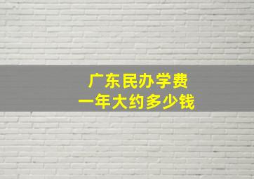 广东民办学费一年大约多少钱