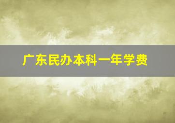 广东民办本科一年学费