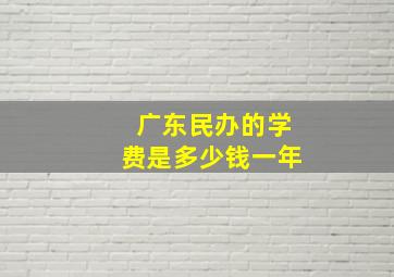 广东民办的学费是多少钱一年