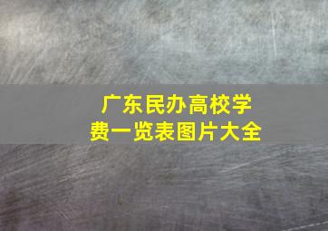 广东民办高校学费一览表图片大全