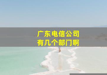 广东电信公司有几个部门啊