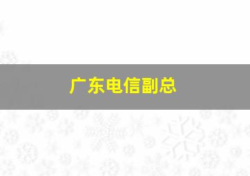 广东电信副总