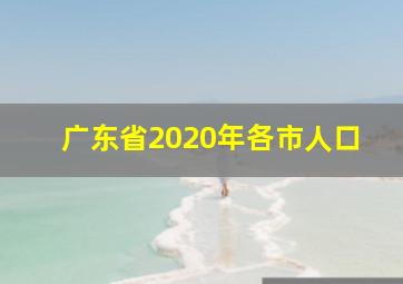 广东省2020年各市人口