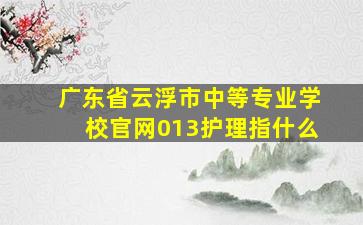 广东省云浮市中等专业学校官网013护理指什么