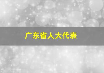 广东省人大代表