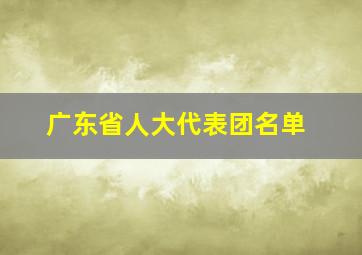 广东省人大代表团名单