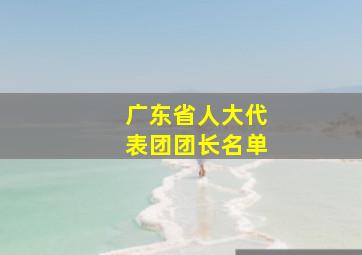 广东省人大代表团团长名单