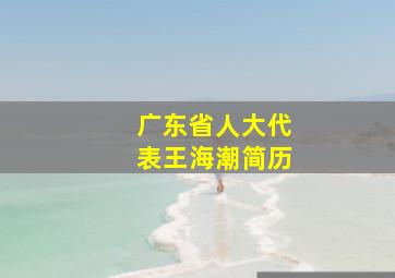 广东省人大代表王海潮简历