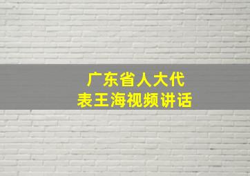 广东省人大代表王海视频讲话