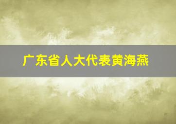 广东省人大代表黄海燕