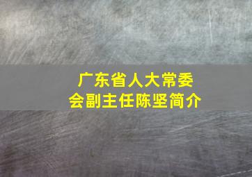 广东省人大常委会副主任陈坚简介