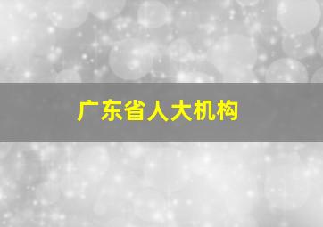 广东省人大机构